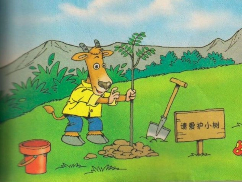 《一片树叶》何丽霞课件_第3页