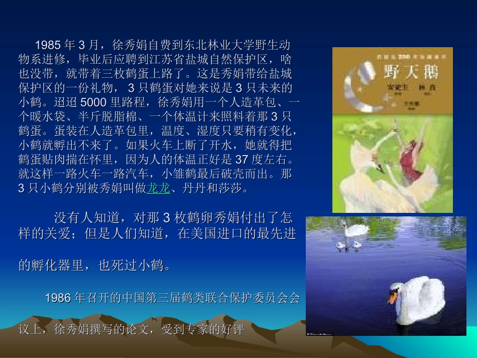 一个真实的故事_第3页