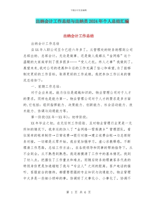 出纳会计工作总结与出纳员2024年个人总结汇编