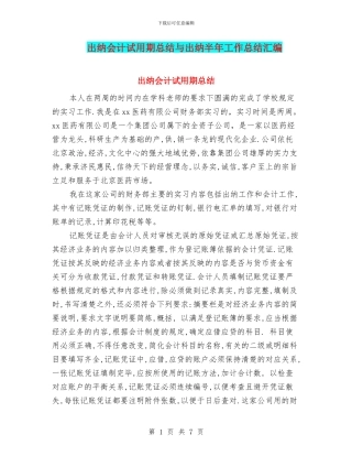 出纳会计试用期总结与出纳半年工作总结汇编