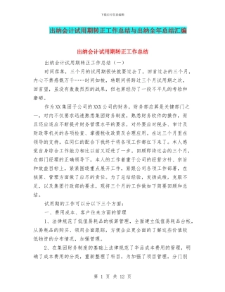 出纳会计试用期转正工作总结与出纳全年总结汇编