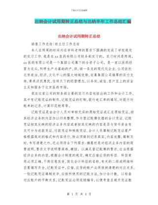 出纳会计试用期转正总结与出纳半年工作总结汇编