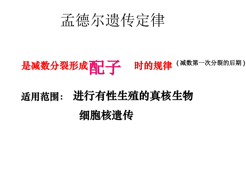 孟德尔遗传定律_第2页