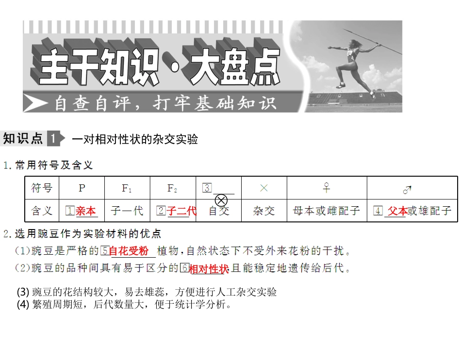 孟德尔遗传定律_第3页