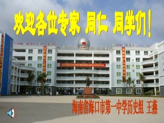 课件：打开外交新局面