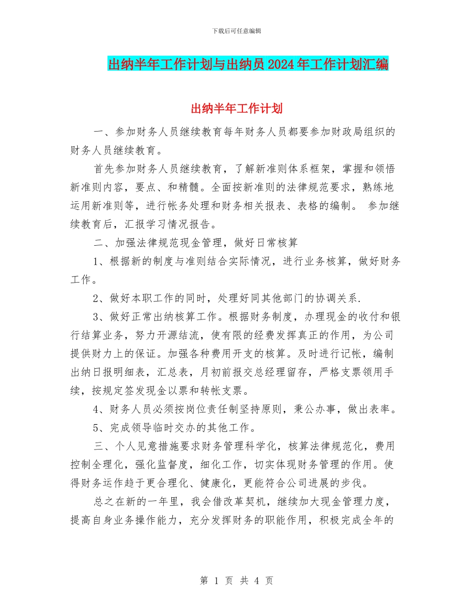 出纳半年工作计划与出纳员2024年工作计划汇编_第1页