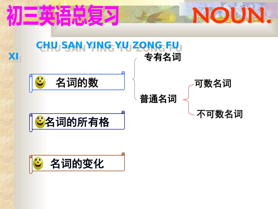初中语法精讲--名词_第3页