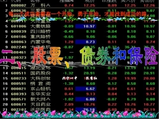 六二、股票、债券和保险