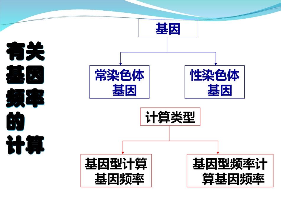 基因频率及基因型频率的计算（课件）_第2页