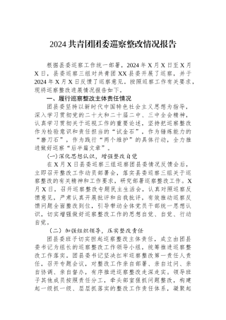 2024共青团团委巡察整改情况报告