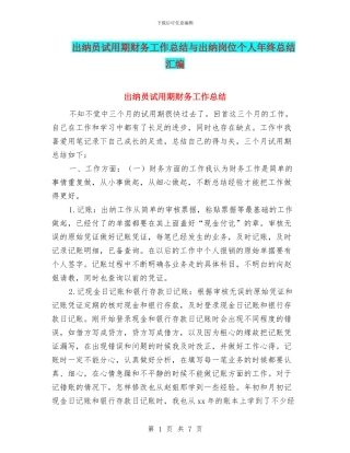 出纳员试用期财务工作总结与出纳岗位个人年终总结汇编