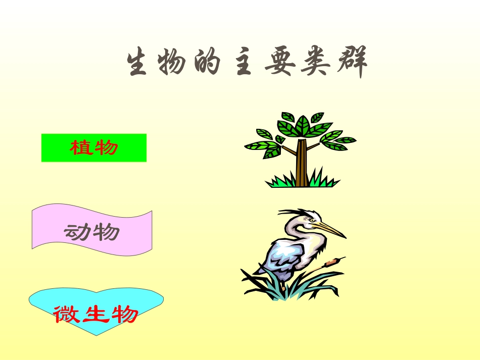 苏教版小学科学三年级上册《寻找有生命的物体》PPT课件_第2页