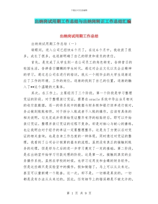 出纳岗试用期工作总结与出纳岗转正工作总结汇编