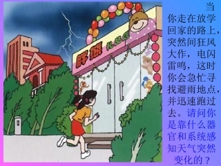 第一节人体对外界环境的感知