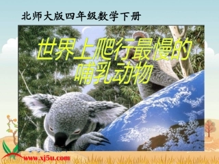北师大版数学四年级下册《爬行最慢的哺乳动物》PPT课件之一