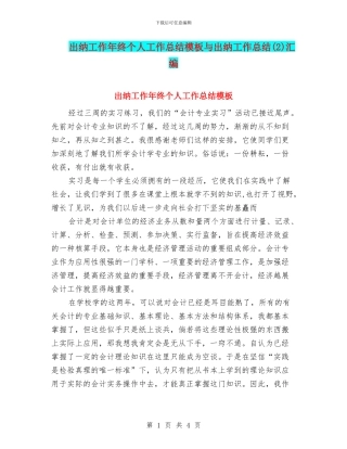 出纳工作年终个人工作总结模板与出纳工作总结汇编