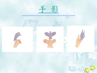 第五单元我的影子