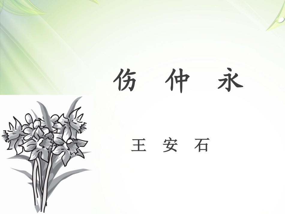 我的《伤仲永》课件_第1页