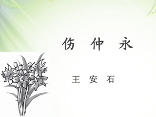 我的《伤仲永》课件