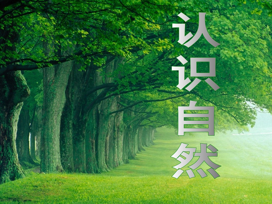 人教版_小学三年级品德与社会《认识自然》课件_第2页