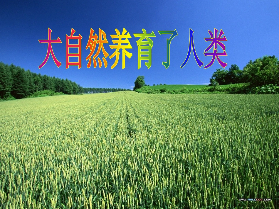 人教版_小学三年级品德与社会《认识自然》课件_第3页