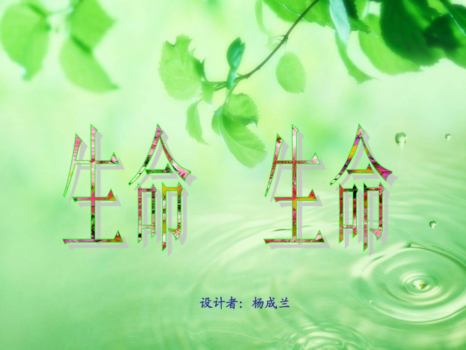 生命生命PPT课件_第3页