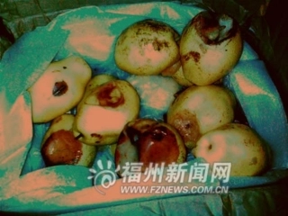 细菌的控制和利用