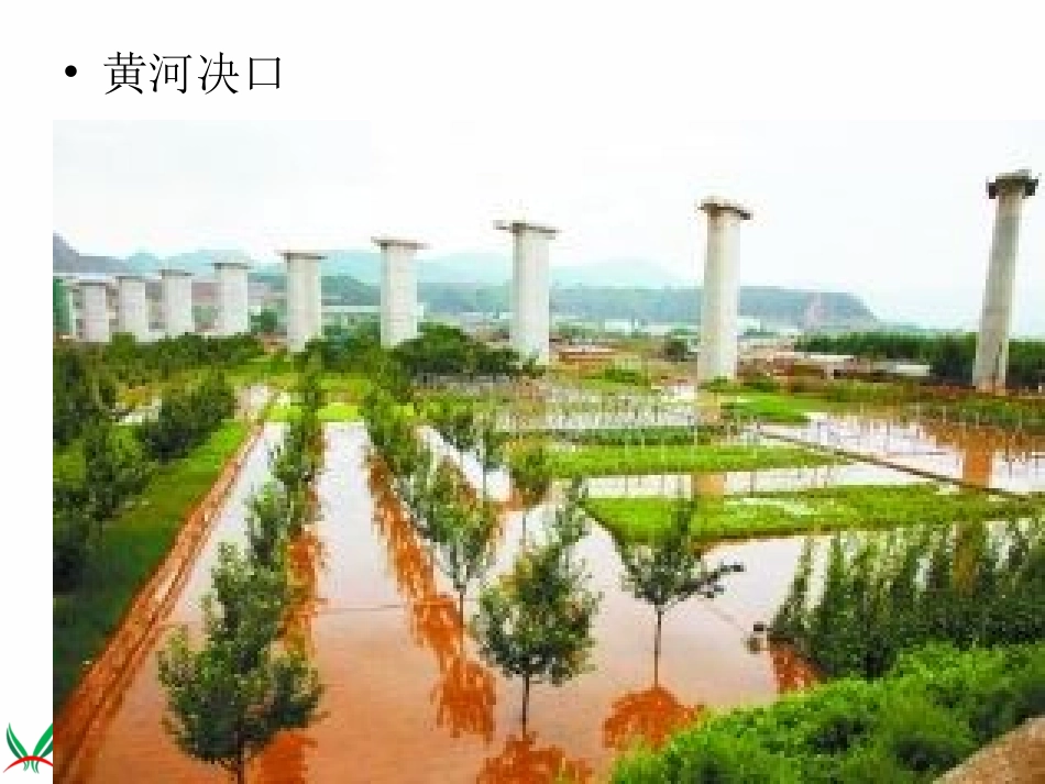 品德与社会课件_第3页