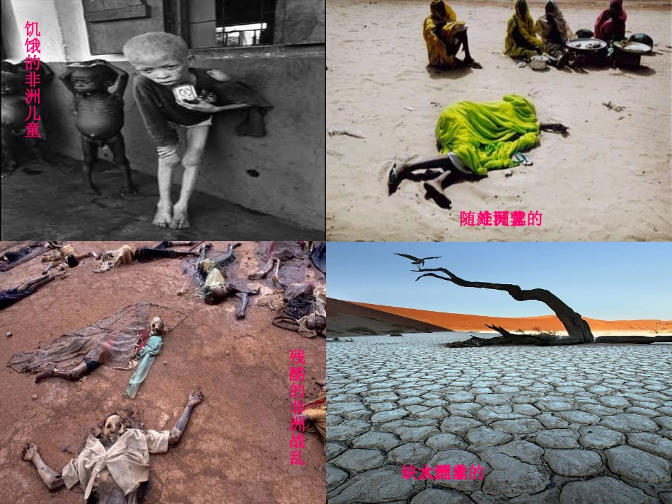 《彩色的非洲》PPT_第2页