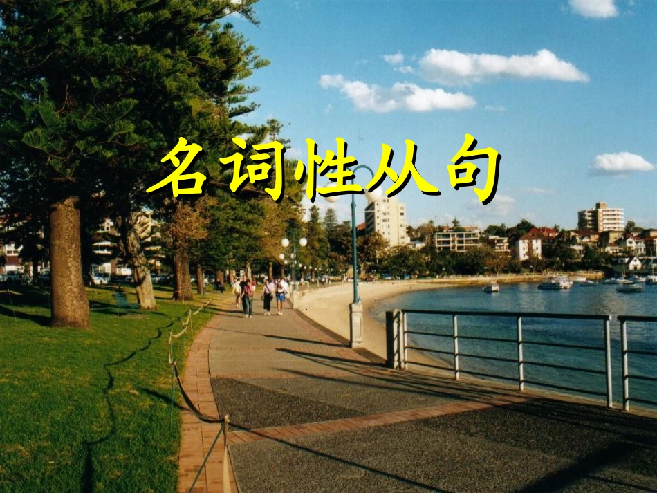 {精品}名词性从句课件_第1页