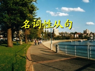 {精品}名词性从句课件