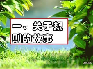 关于规则的故事