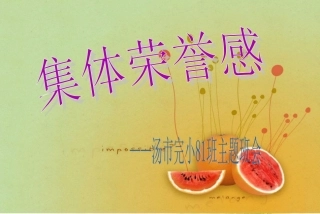 集体荣誉感主题班会