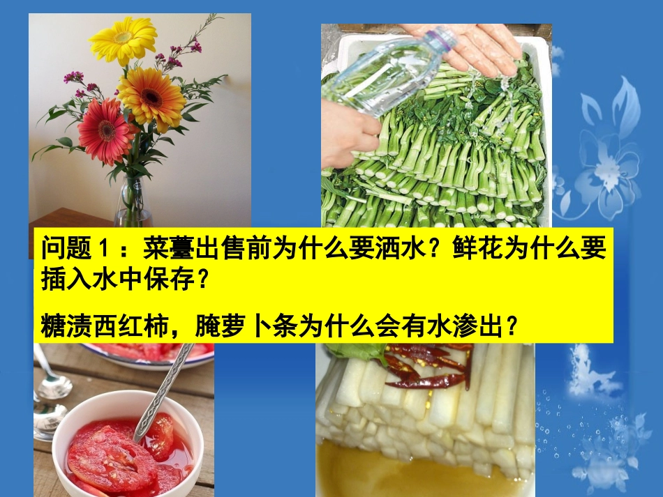 探究植物细胞的吸水和失水_第2页