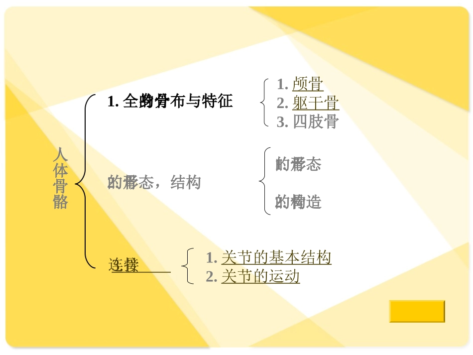骨骼与肌肉_人体解剖生理学_第3页