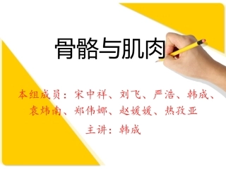 骨骼与肌肉_人体解剖生理学