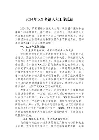 2024年XX乡镇人大工作总结
