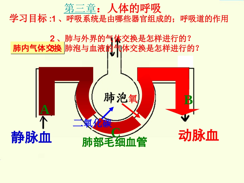 第三章：人体的呼吸_第2页
