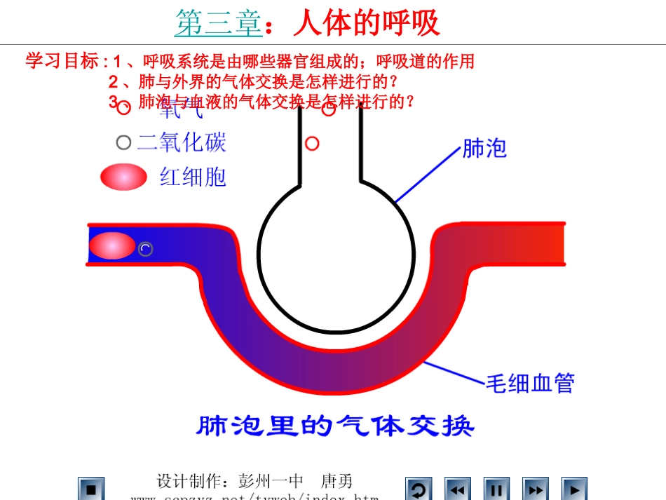 第三章：人体的呼吸_第3页
