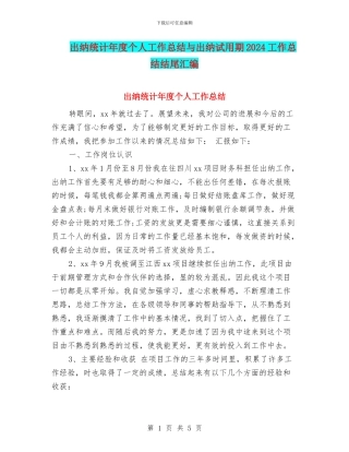 出纳统计年度个人工作总结与出纳试用期2024工作总结结尾汇编