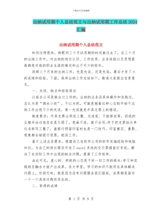 出纳试用期个人总结范文与出纳试用期工作总结2024汇编