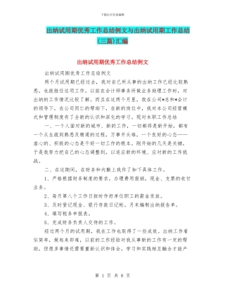 出纳试用期优秀工作总结例文与出纳试用期工作总结汇编