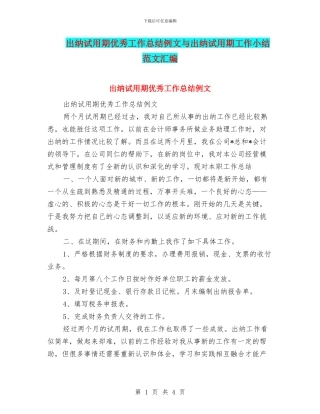出纳试用期优秀工作总结例文与出纳试用期工作小结范文汇编