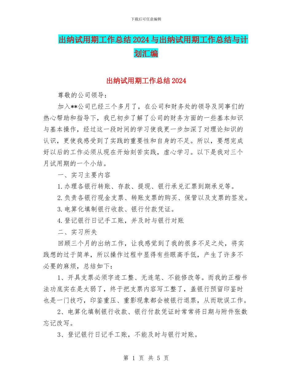 出纳试用期工作总结2024与出纳试用期工作总结与计划汇编_第1页