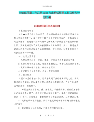 出纳试用期工作总结2024与出纳试用期工作总结与计划汇编