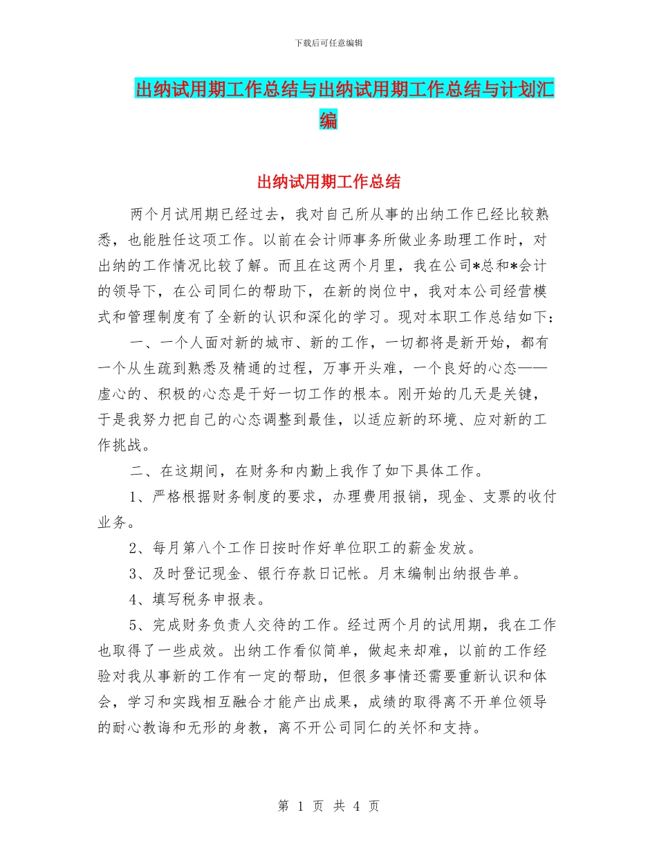 出纳试用期工作总结与出纳试用期工作总结与计划汇编_第1页