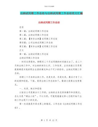 出纳试用期工作总结与出纳试用期工作总结范文汇编