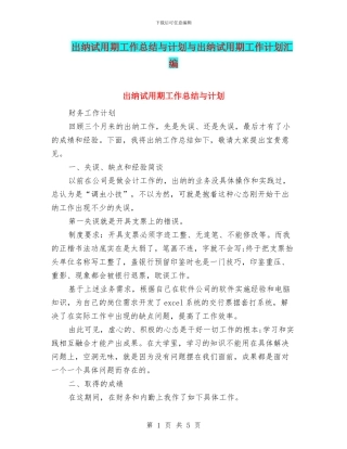 出纳试用期工作总结与计划与出纳试用期工作计划汇编