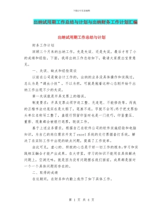 出纳试用期工作总结与计划与出纳财务工作计划汇编