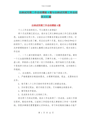 出纳试用期工作总结模板4篇与出纳试用期工作总结范文汇编